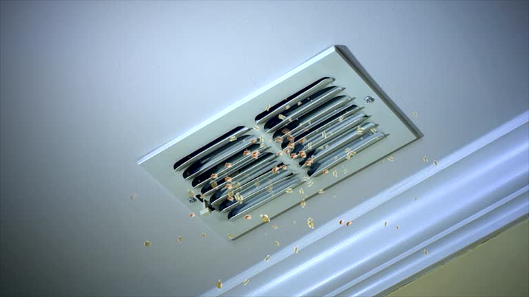 Best Professional Duct Cleaning Services  in Sea Girt, NJ