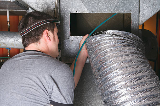Best Air Duct Mold Removal  in Sea Girt, NJ