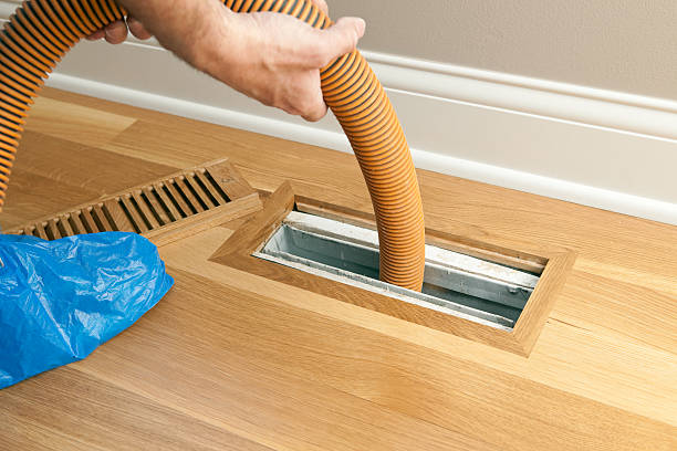 Best Air Duct Cleaning Company Near Me  in Sea Girt, NJ